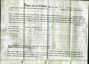Deed by Married Women - Elizabeth Snow-Original Ancestry
