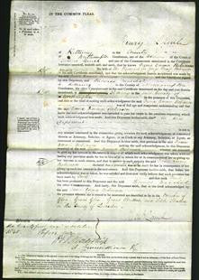 Court of Common Pleas - Emma Robinson-Original Ancestry