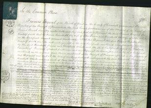 Court of Common Pleas - Elizabeth Pearce, Elizabeth White-Original Ancestry