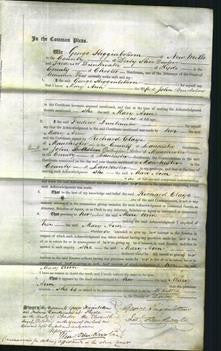 Court of Common Pleas - Mary Ann Buickshaw-Original Ancestry