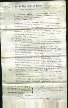 Court of Common Pleas - Anna Elizabeth Town-Original Ancestry