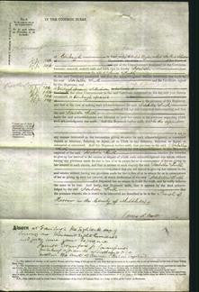Court of Common Pleas - Isabella Smith-Original Ancestry