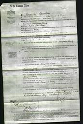 Court of Common Pleas - Maryanne Emily Lane-Original Ancestry