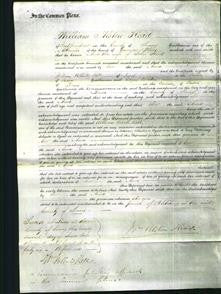 Court of Common Pleas - Anne Head-Original Ancestry