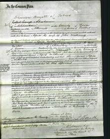 Court of Common Pleas - Agnes Metherell-Original Ancestry