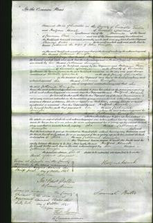 Court of Common Pleas - Catharine Swingler-Original Ancestry