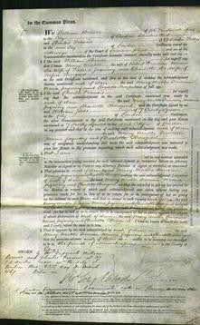 Court of Common Pleas - Mary Mabbs Duncan, Maria Jacquiery and Charlotte Thorogood-Original Ancestry