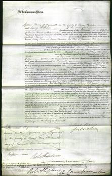 Court of Common Pleas - Emily Eliza McBean Bowder-Original Ancestry