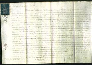 Court of Common Pleas - Hannah Rodgers-Original Ancestry