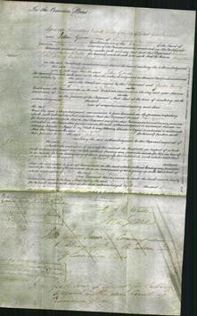 Court of Common Pleas - Mary Ann Spark-Original Ancestry