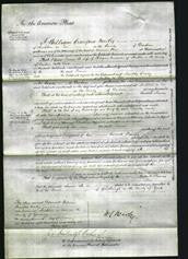 Court of Common Pleas - Frances Numcaster-Original Ancestry