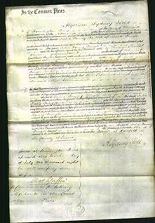 Court of Common Pleas - Julia Fanny Pringle-Original Ancestry