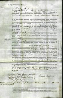 Court of Common Pleas - Sarah Anna Edwards-Original Ancestry