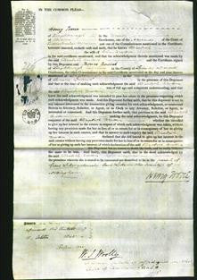 Court of Common Pleas - Elizabeth Woolton-Original Ancestry