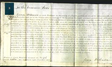 Court of Common Pleas - Elizabeth Dobbs-Original Ancestry