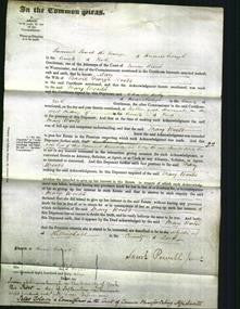 Court of Common Pleas - Mary Woods-Original Ancestry