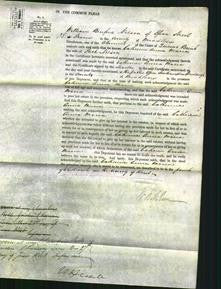 Court of Common Pleas - Catherine Anna Maria Nelson-Original Ancestry