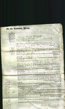 Court of Common Pleas - Mercy Sparks-Original Ancestry