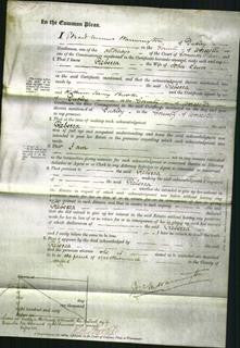 Court of Common Pleas - Rebecca Lewis-Original Ancestry