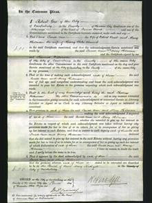 Court of Common Pleas - Sarah Ann Read, Mary Atwood-Original Ancestry