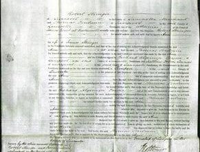 Court of Common Pleas - Ann Stringer-Original Ancestry
