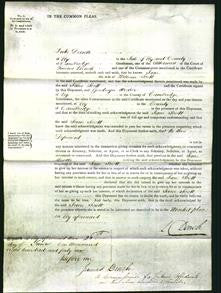 Court of Common Pleas - Jane Scott-Original Ancestry