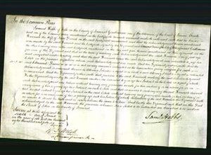 Court of Common Pleas - Hannah Derrick-Original Ancestry