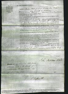 Court of Common Pleas - Mary Carr-Original Ancestry
