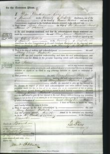 Court of Common Pleas - Mary Anne Pattrick-Original Ancestry