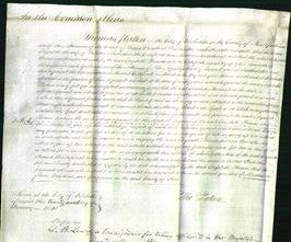 Court of Common Pleas - Elizabeth Thomas-Original Ancestry