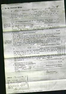 Court of Common Pleas - Ann Tapson Jackson-Original Ancestry