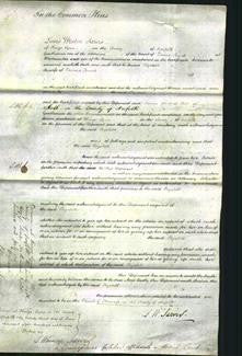 Court of Common Pleas - Elizabeth Towell-Original Ancestry