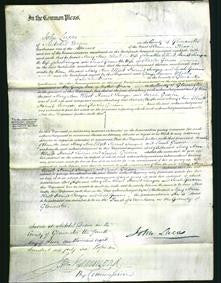 Court of Common Pleas - Mary Ann Elliott, Harriett Swayne and Sarah Gream-Original Ancestry