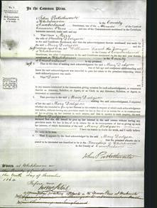 Court of Common Pleas - Mary Dodgson-Original Ancestry