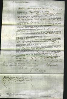 Court of Common Pleas - Elizabeth Ann Beachcroft-Original Ancestry