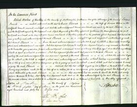 Court of Common Pleas - Eleanor Wilson-Original Ancestry