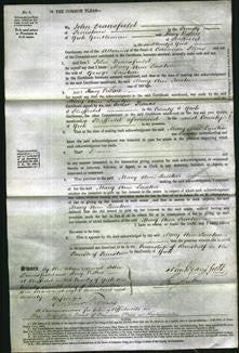 Court of Common Pleas - Mary Ann Lawton-Original Ancestry