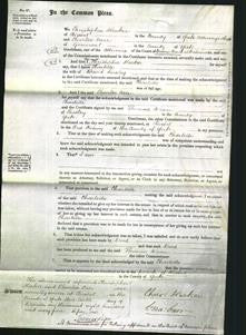 Court of Common Pleas - Charlotte Emsley-Original Ancestry