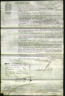 Court of Common Pleas - Dame Elizabeth Ann Gomm #2-Original Ancestry