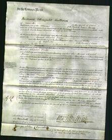 Court of Common Pleas - Elizabeth Bridge-Original Ancestry