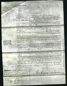 Court of Common Pleas - Christiana Field-Original Ancestry