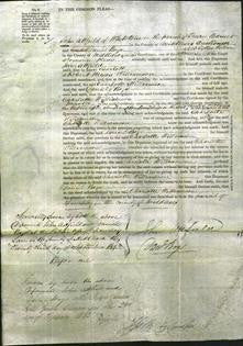 Court of Common Pleas - Charlotte Williamson-Original Ancestry