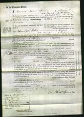 Court of Common Pleas - Mary Brenchley-Original Ancestry