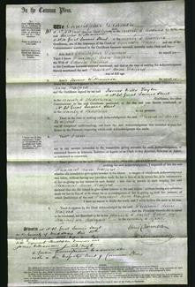 Court of Common Pleas - Pleasant Anne Walford-Original Ancestry