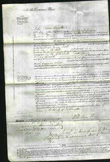Court of Common Pleas - Georgiana Deacon-Original Ancestry