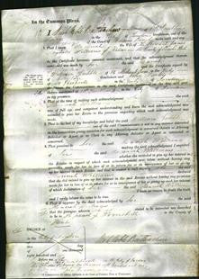 Court of Common Pleas - Hannah Williams-Original Ancestry