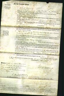 Court of Common Pleas - Mary Chaplin-Original Ancestry