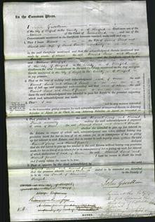 Court of Common Pleas- Harriet Lewis and Harriet Powell-Original Ancestry