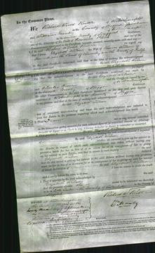 Court of Common Pleas - Elizabeth Wilson-Original Ancestry