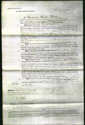 Court of Common Pleas - Sarah Fanny Brown Brinkler-Original Ancestry